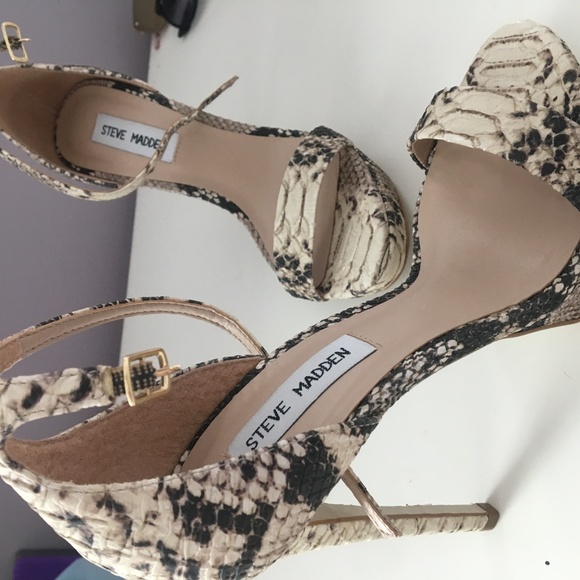 Steve Madden Shoes - Steve Madden snake print pumps NEVER WORN size 7